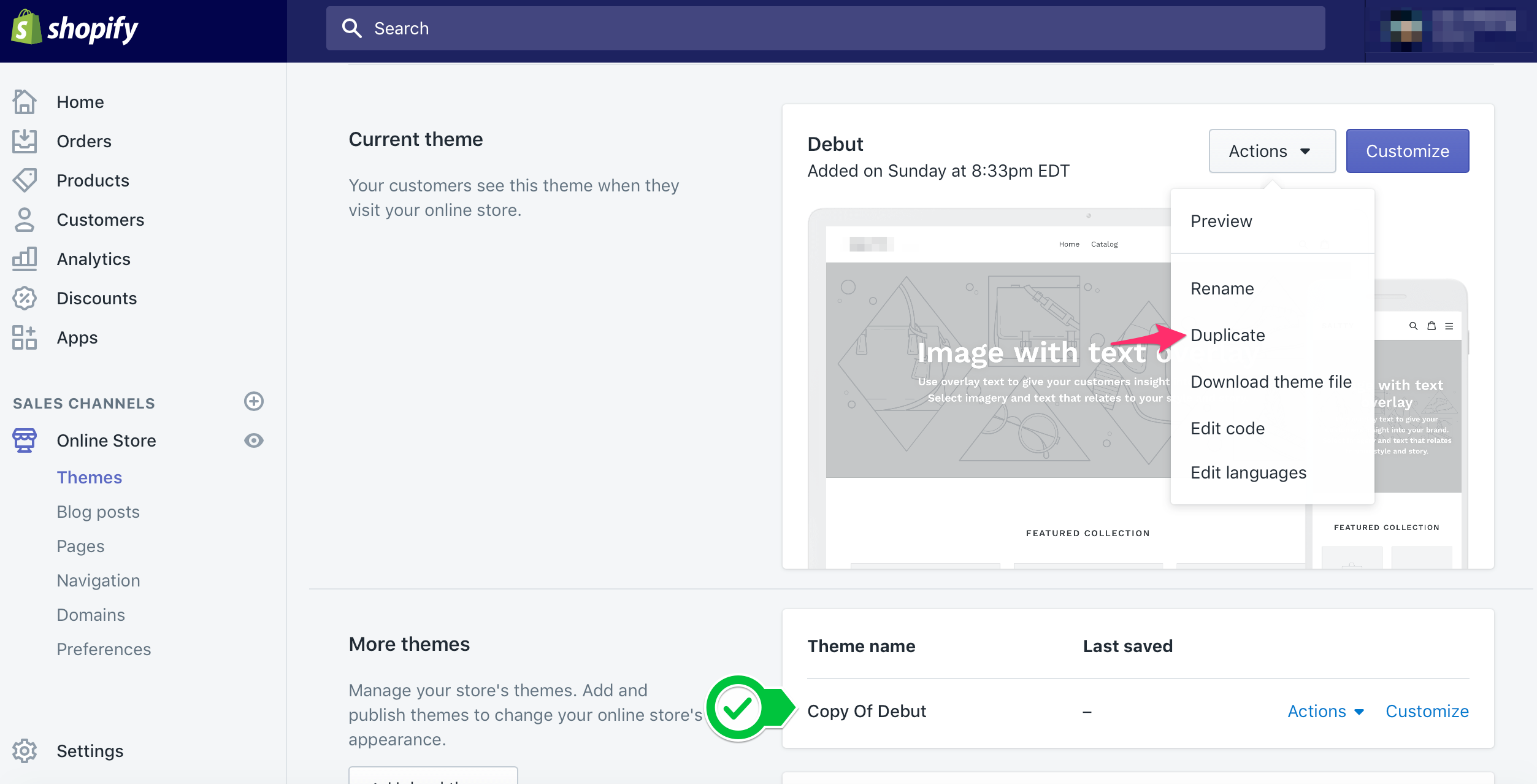 Duplicate Shopify theme screenshot